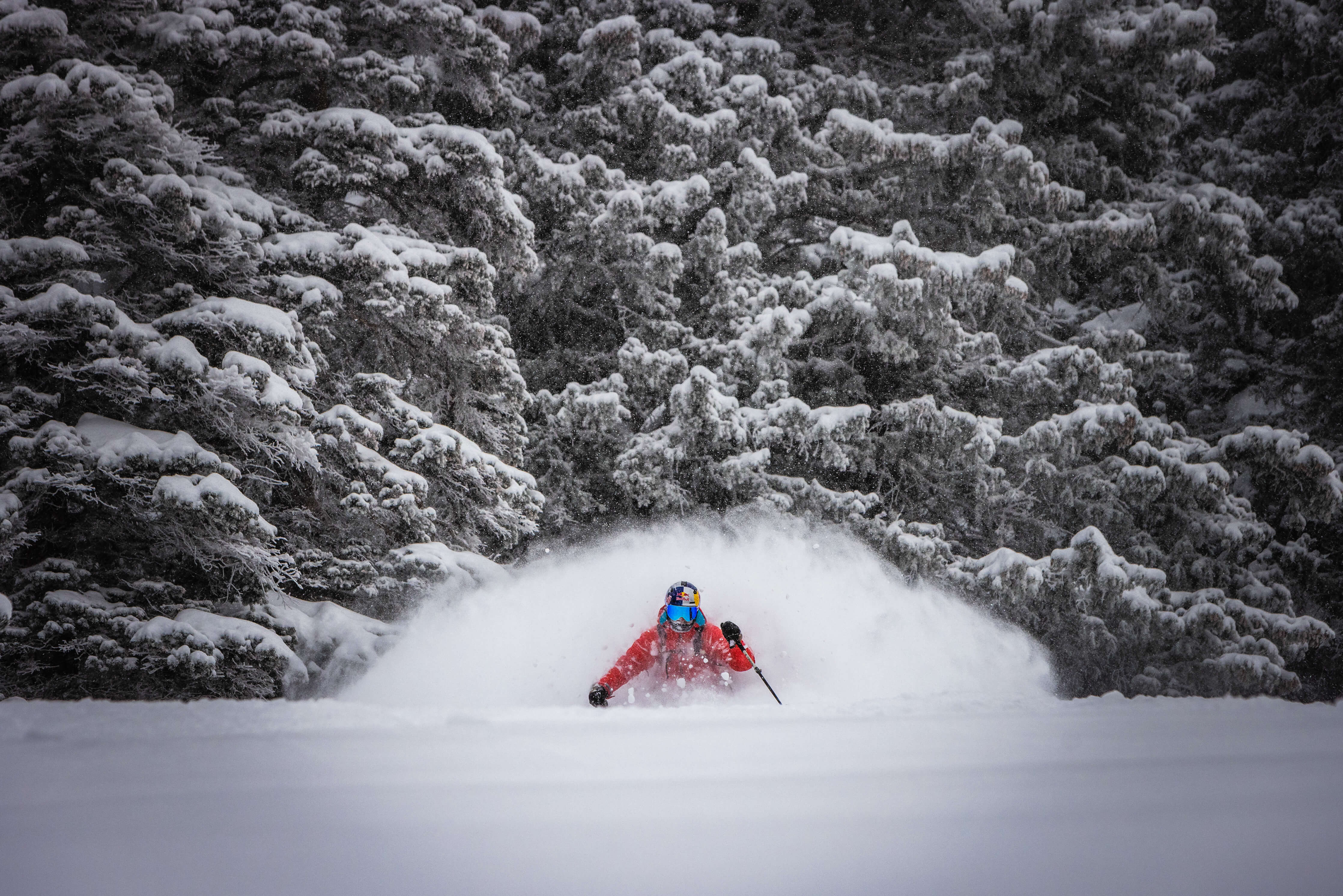 激レア　ムーブメント　MOVEMENT FLY 88 激レア ムーブメント MOVEMENT FLY 88 激レア ムーブメント MOVEMENT