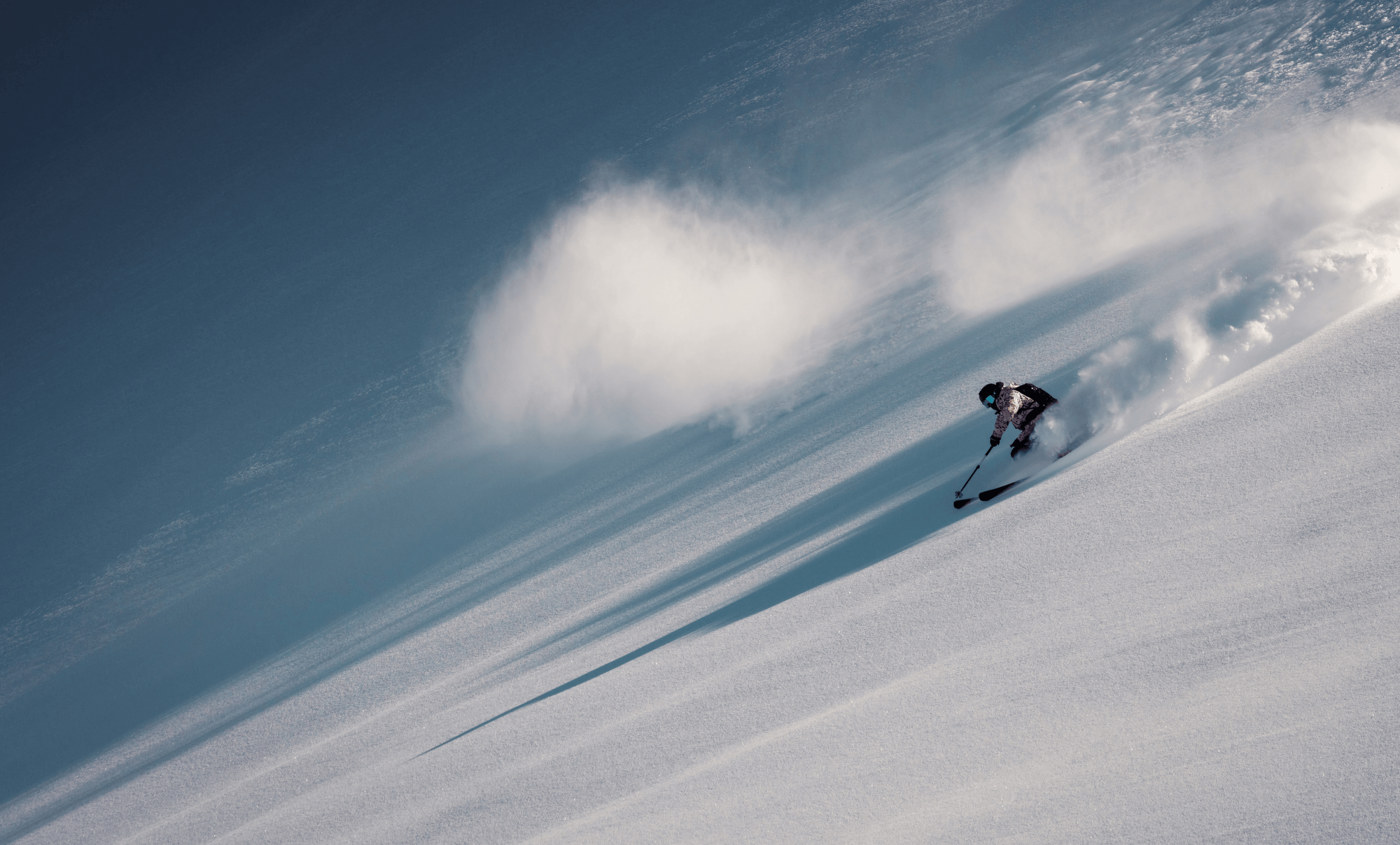 Down skiing with the Fly